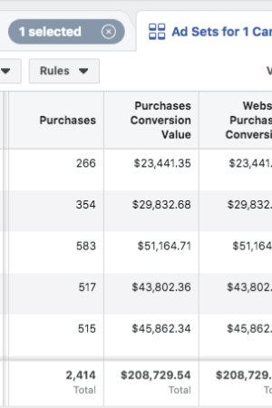 scaling-fb-ads-Broad-Example-2 (1) - Copy